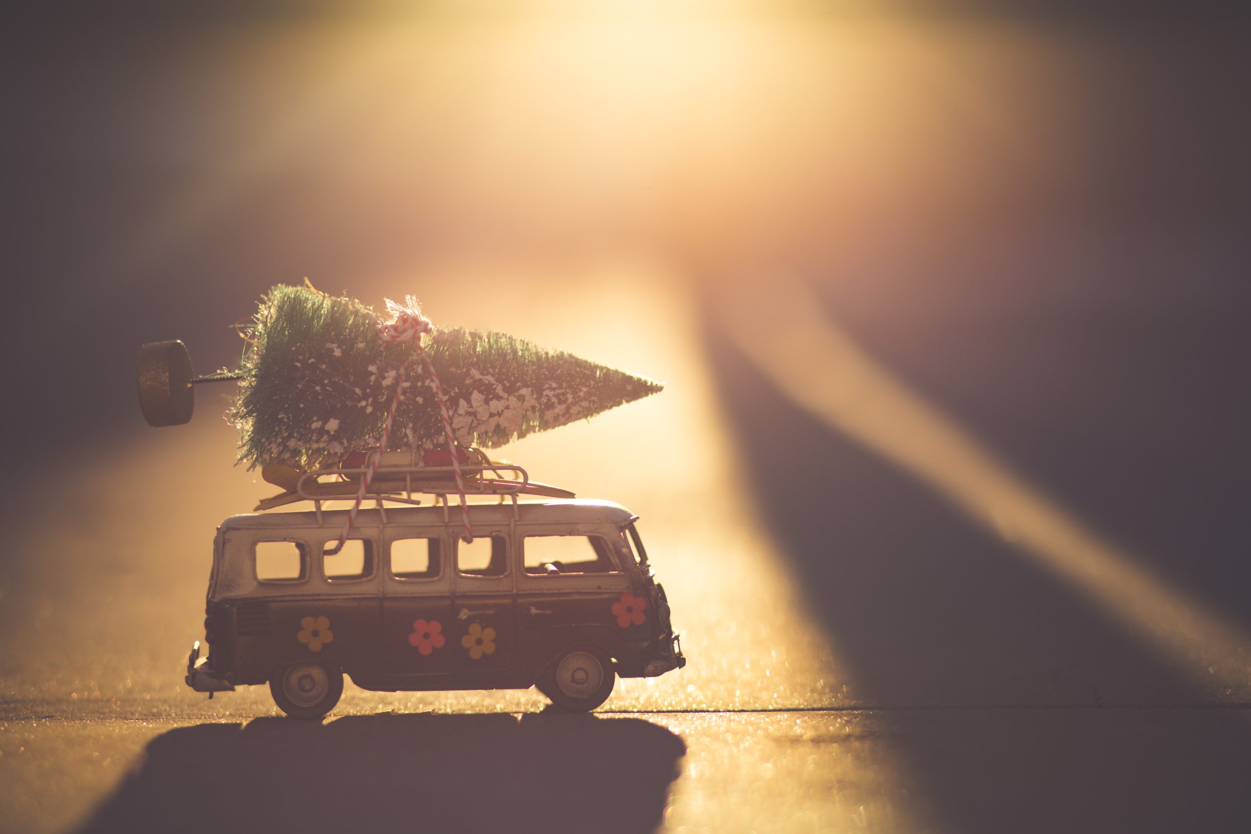 Lire la suite à propos de l’article OFFRE DE NOEL
