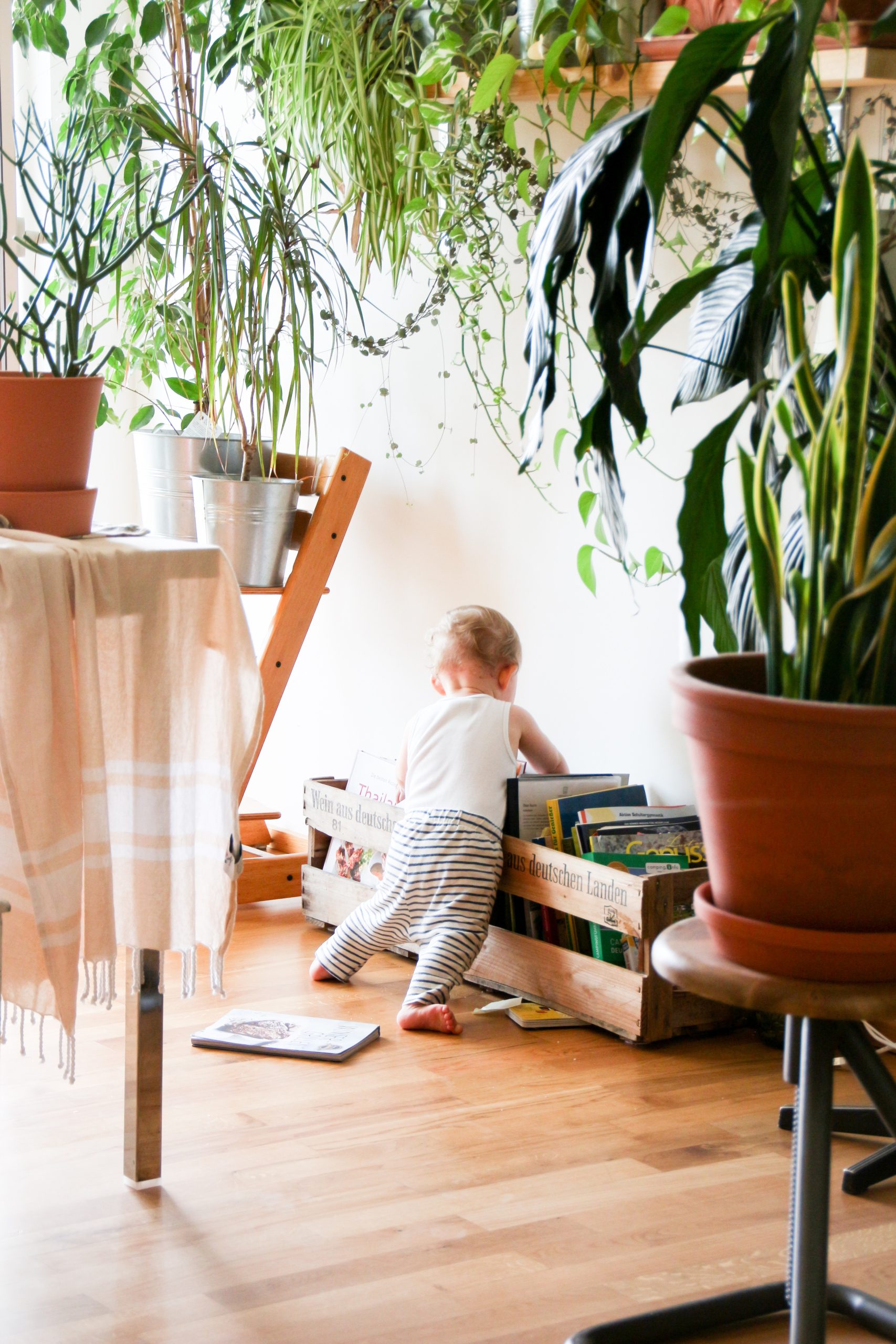 Lire la suite à propos de l’article La naturopathie appliquée aux enfants : l&rsquo;immunité