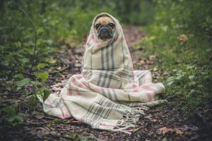 Lire la suite à propos de l’article Comment j&rsquo;ai soigné mon angine en 3 jours…