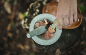 Lire la suite à propos de l’article Offre gourmande & avantageuse