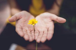 Lire la suite à propos de l’article Le petit truc en plus