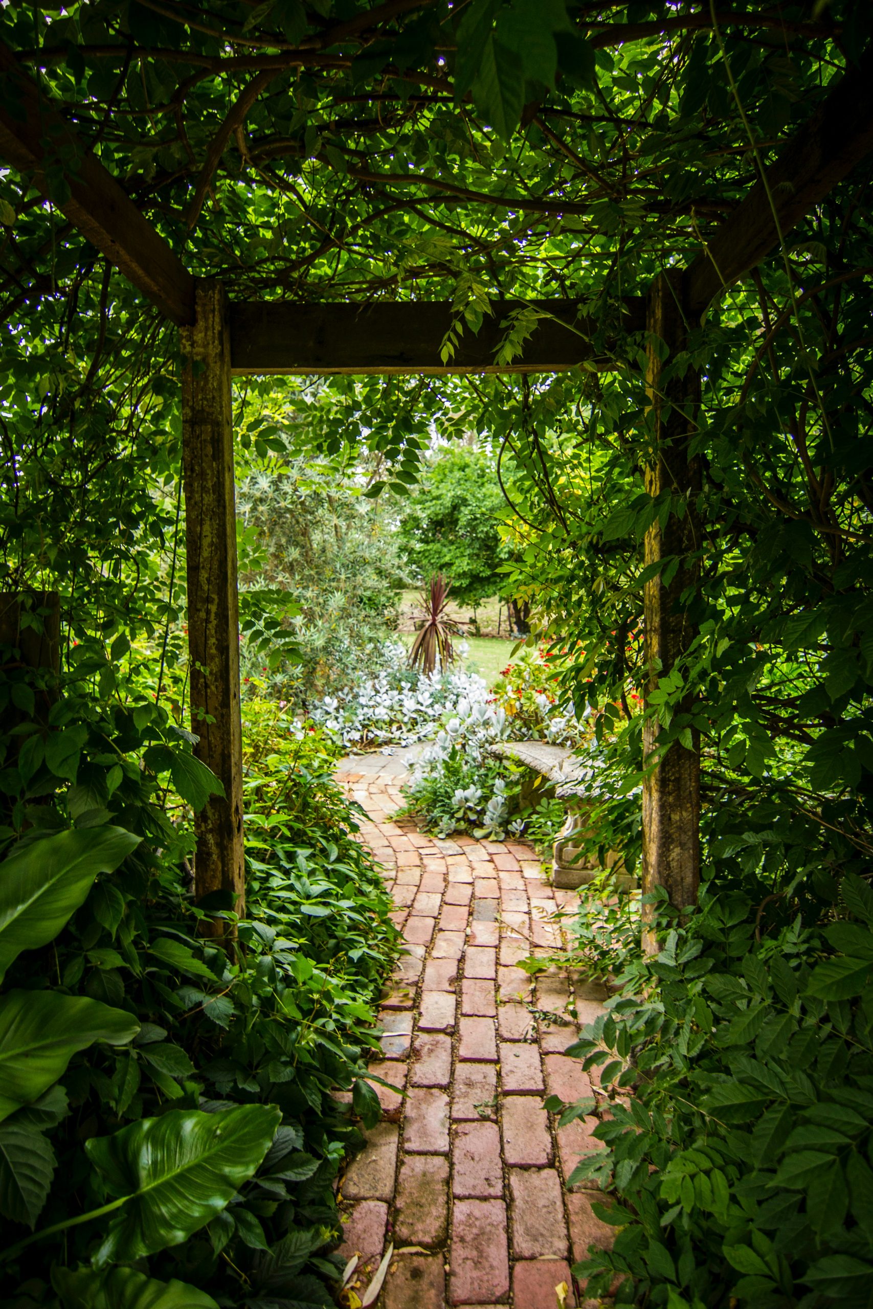 You are currently viewing Jardin de grand-mère