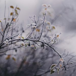 freestocks-MG9mdMr-yq8-unsplash
