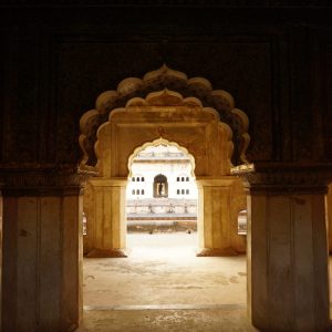 shruti-singh-UeaXSgHOC3g-unsplash shruti-singh-UeaXSgHOC3g-unsplash